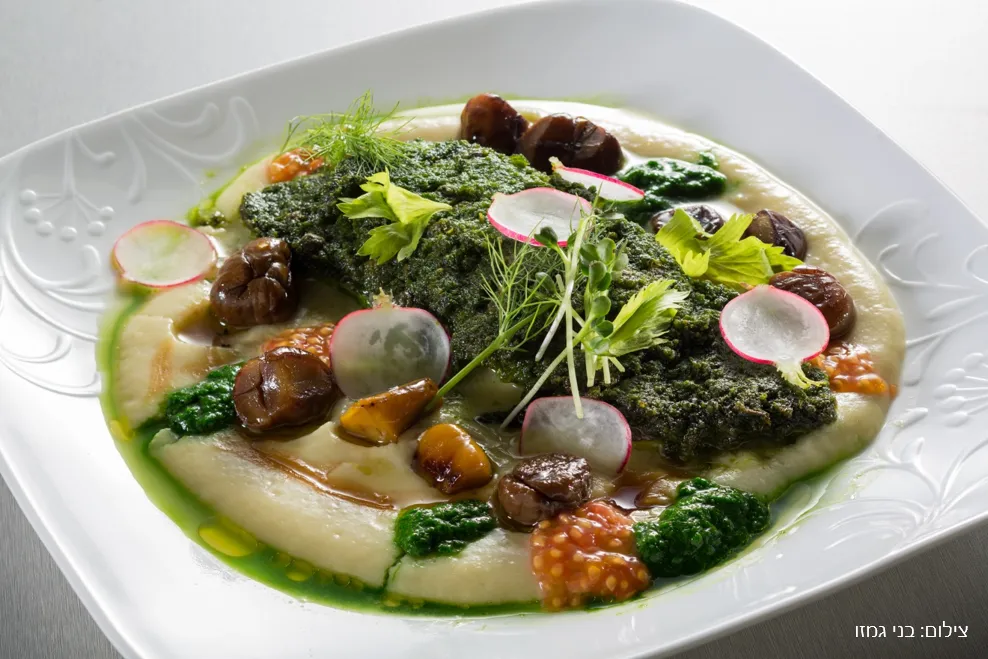 צלחות מרובעות קורנינג - Cherish Corelle by Corning